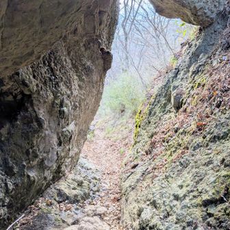 おもしぇっ😆🎶🎶