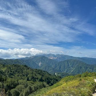 展望台から白山御前峰を臨む。