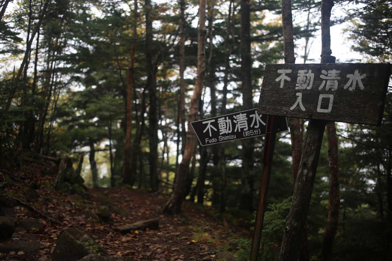 御小屋尾根コース | 諏訪大社上社の御柱を伐る神聖な森から、赤岳西方の信仰の峰への写真