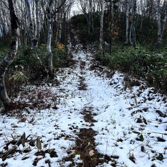 遠藤山の手前だけ、雪沢山残ってました❄️