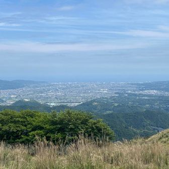 山頂からは相模湾も見え