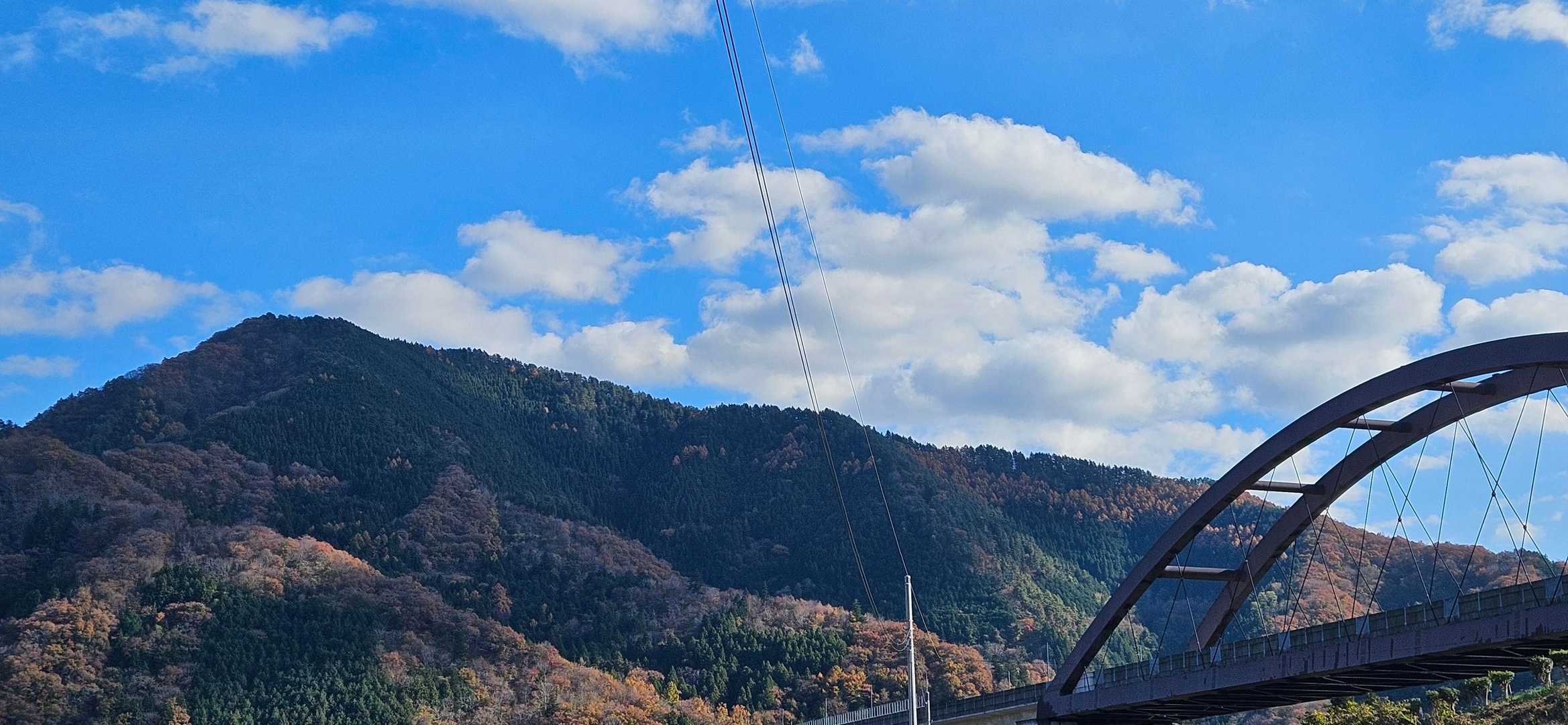 高川山 往復コースの写真