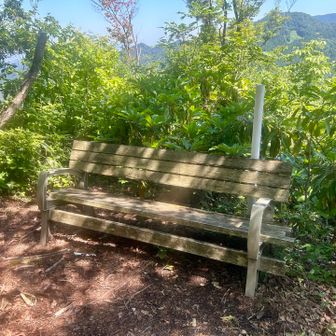 このエモいベンチ佇んでる光景がいいのよ
