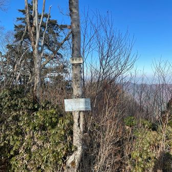 ここからの眺望が綺麗に見えました