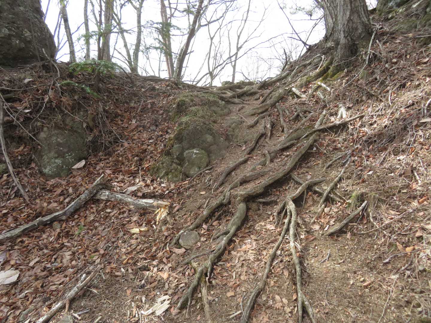 尾根に出た？