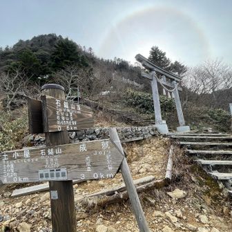 完全に雪❄️無し😅