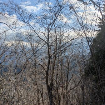 こちらは雲に遮られていますが、雲がなければ富士山が見えるのかな？