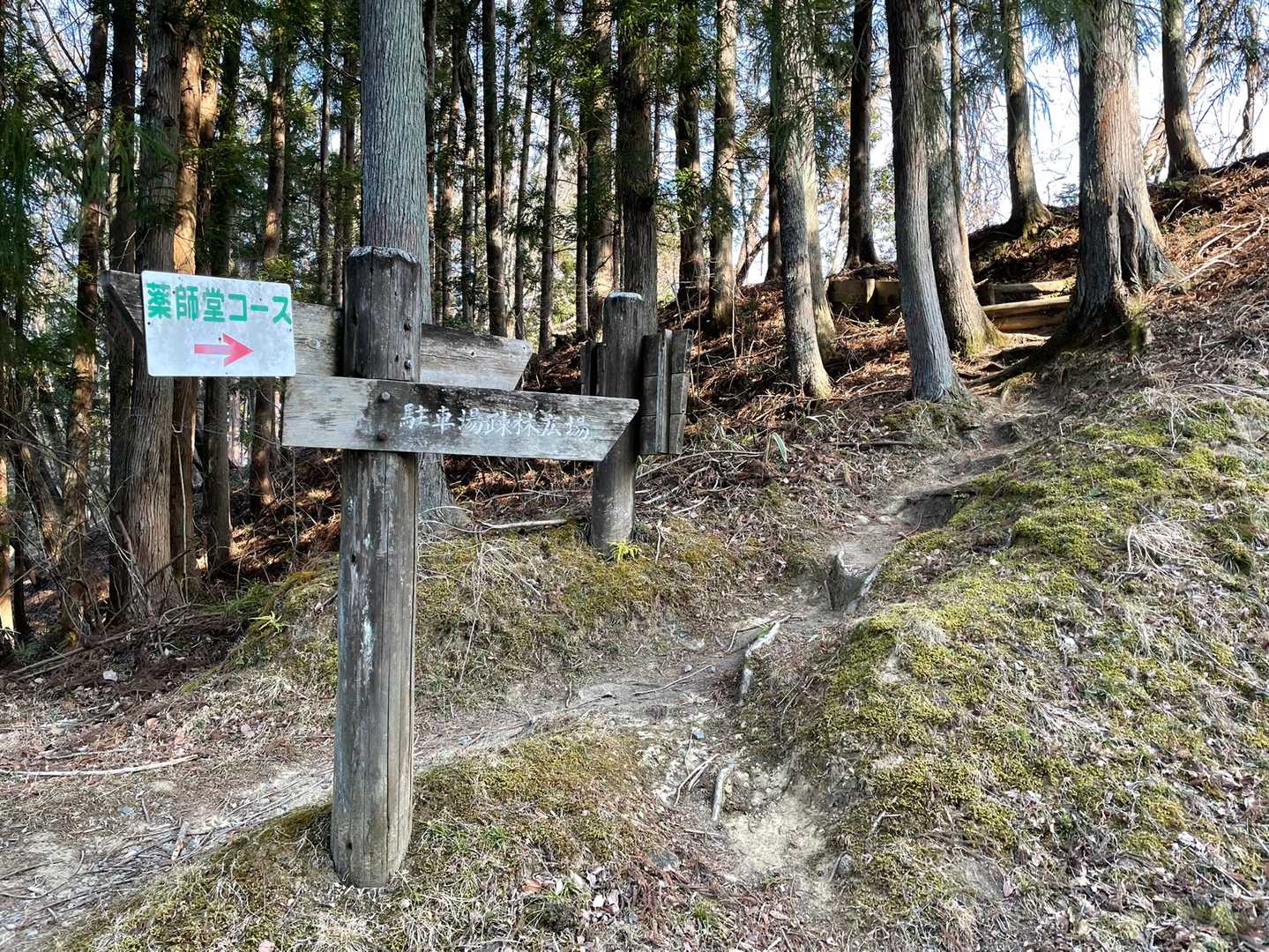 一旦道路に出てからまた登山道へ。