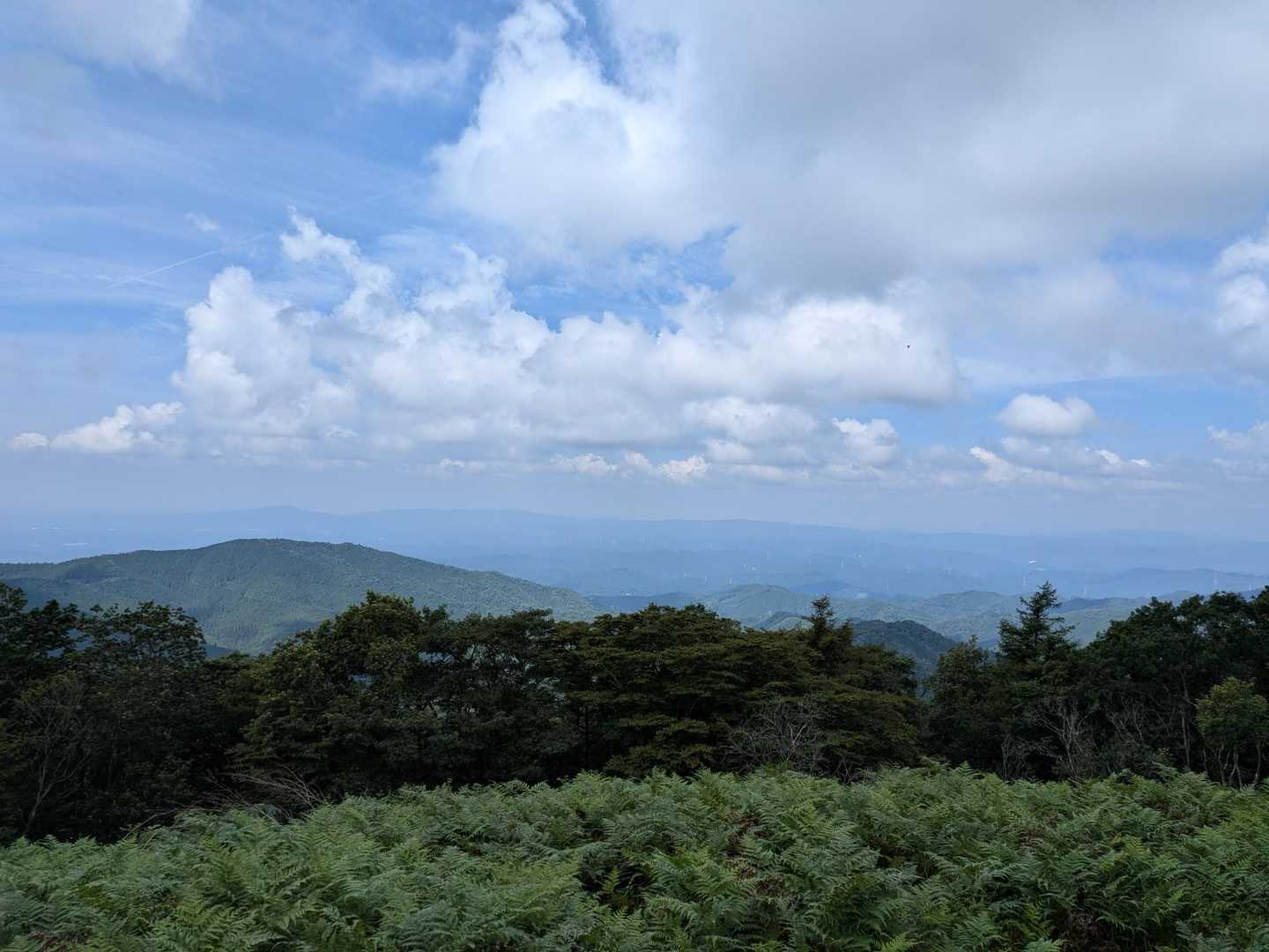 伊勢神峠-寧比曽岳 往復コースの写真