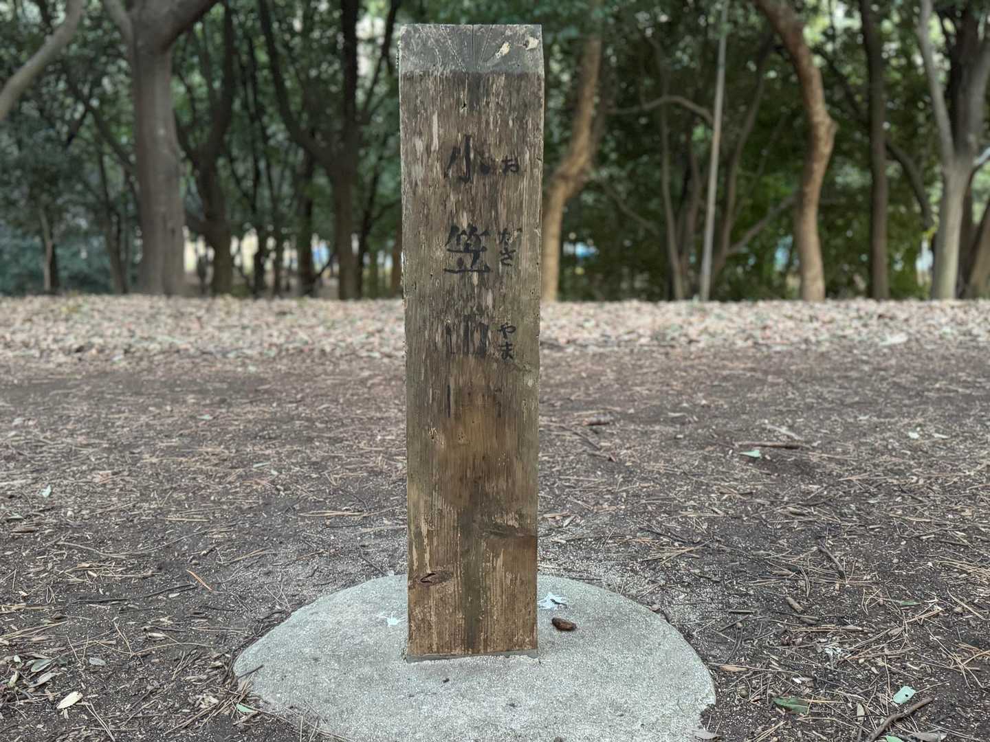 双子山 周回コースの写真