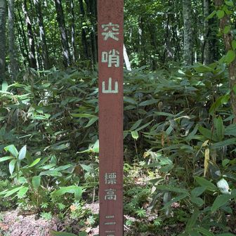 突哨山　登頂笑
