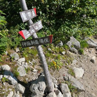 伊藤新道との分岐
いつかは行ってみたい。