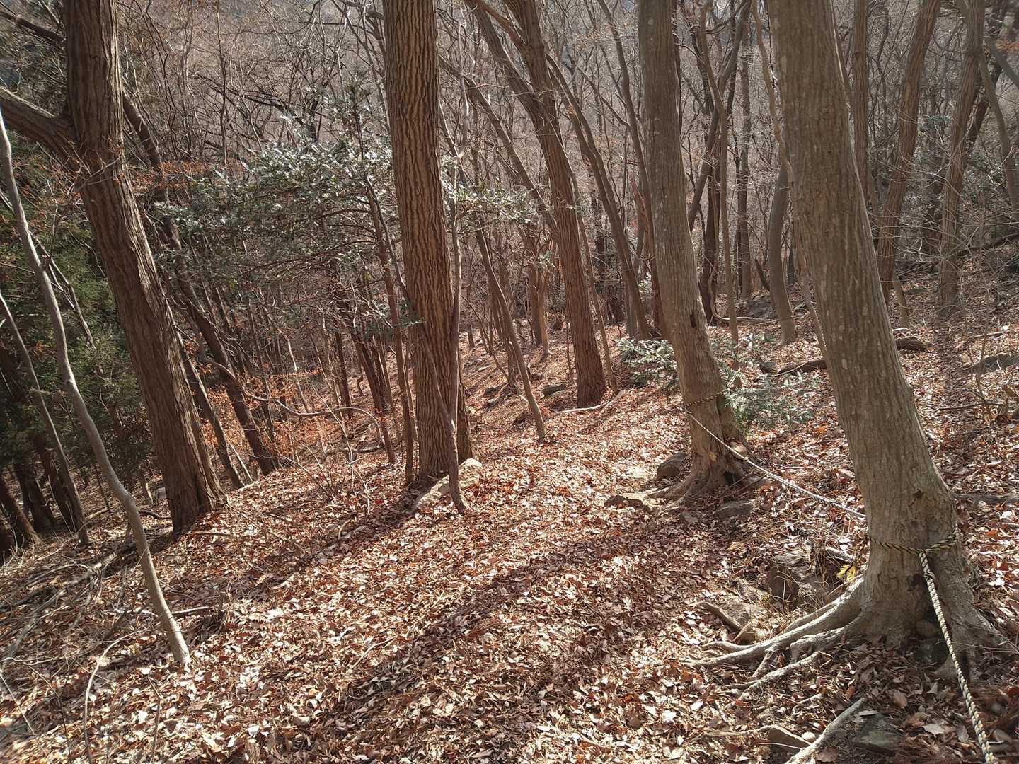 急坂続き。写真では分かりにくいですが、けっこうな坂です😅