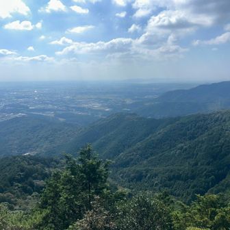この場所は、本宮山の中でお気に入りBest5に入ります💁🏻
