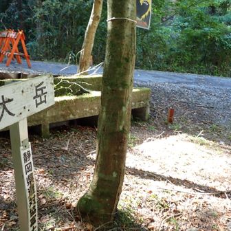 誰とも会わずに、須津山荘脇に降り立ちました。
その先で、単独女性を見かけましたが・・。