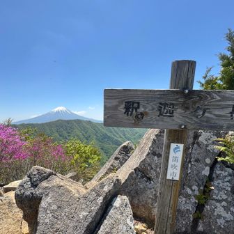 やっぱ良かった
