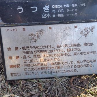 なぜかうつぎの説明板が