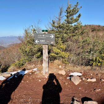 見晴岳山頂先、此処から下る