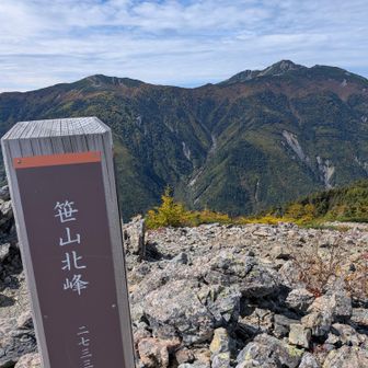 もう樹林帯に入るので見納めです