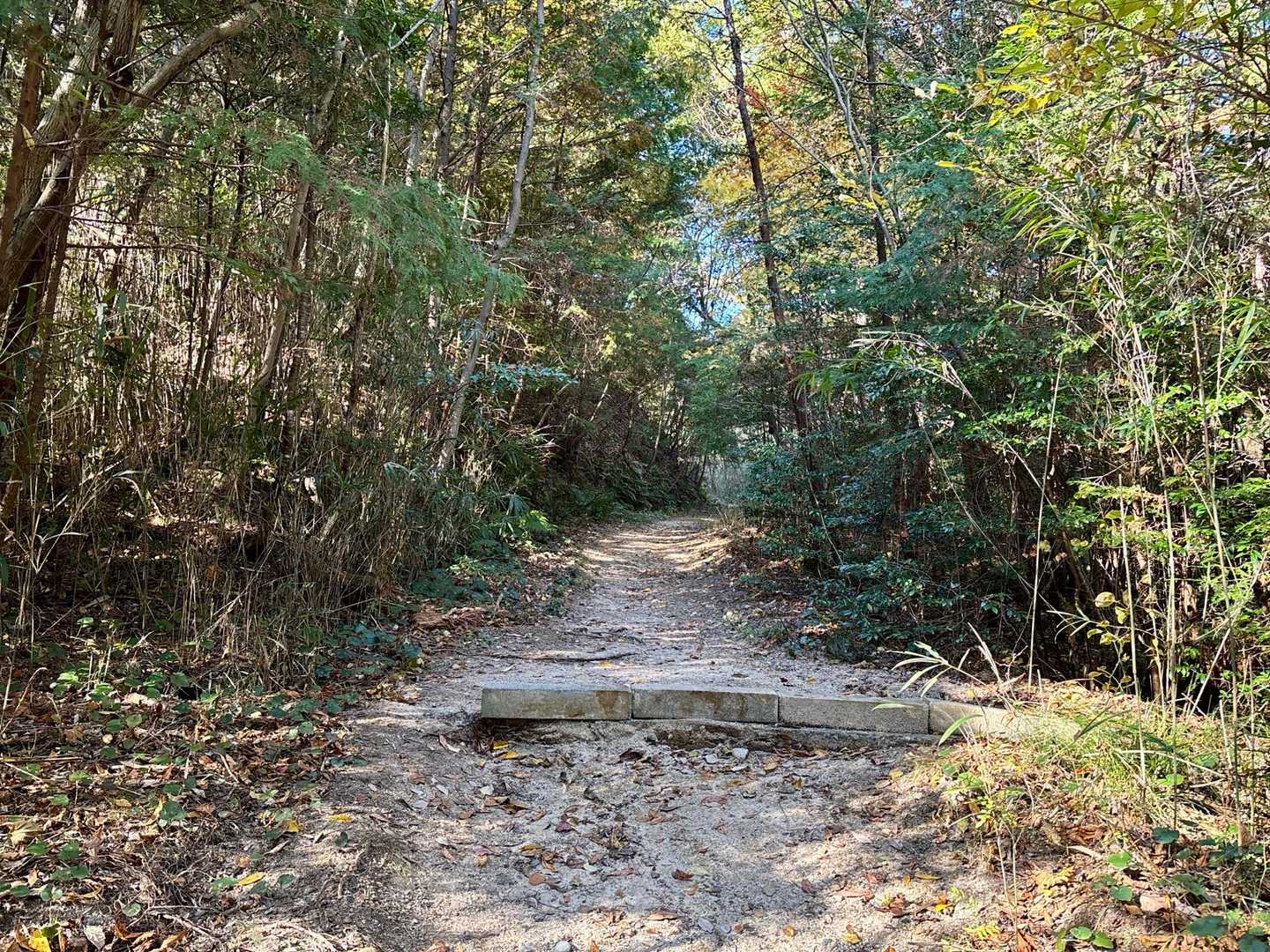 菩堤寺山 周回コースの写真