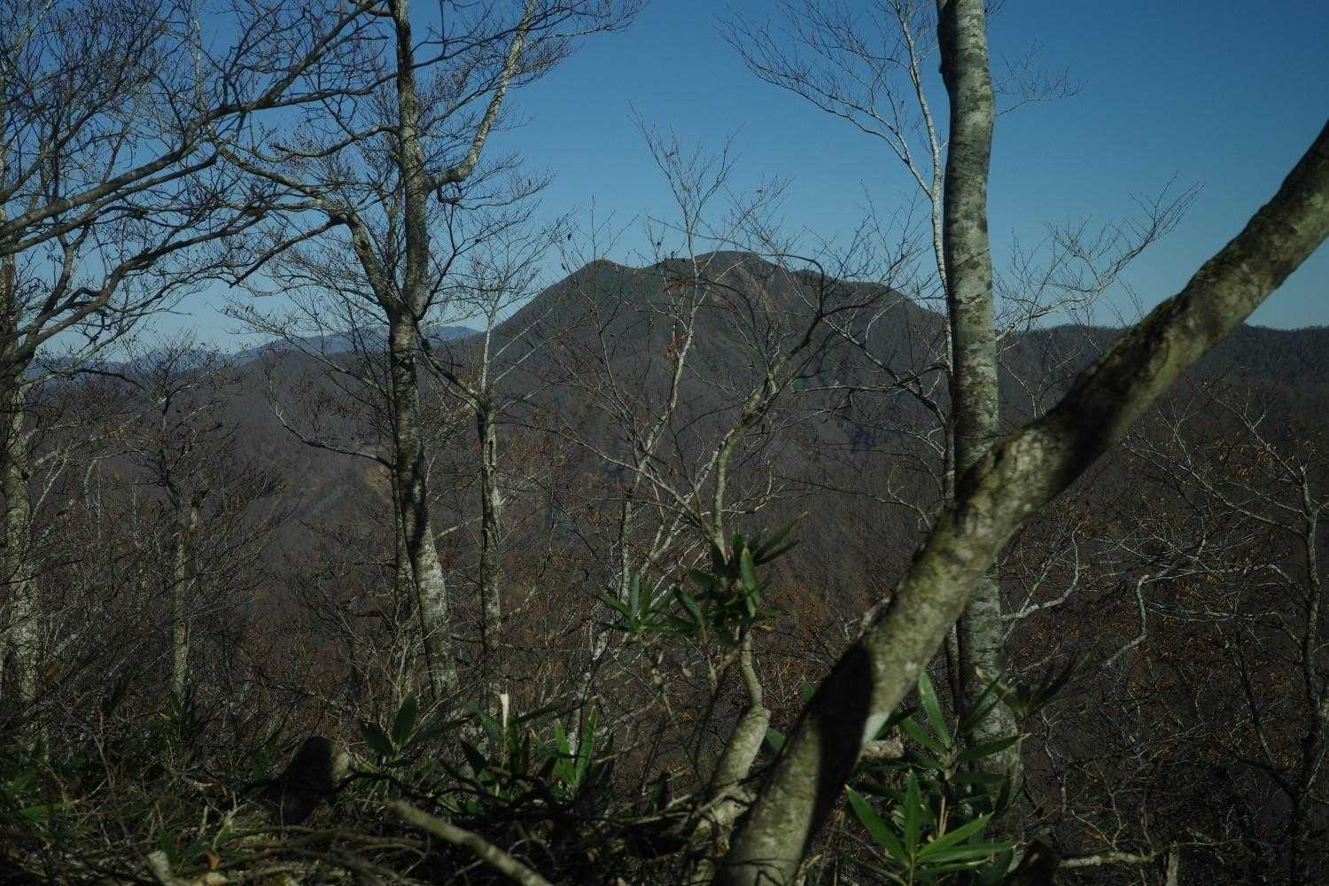 七滝山・木和田山登山口-水源広場-七滝山 周回コースの写真