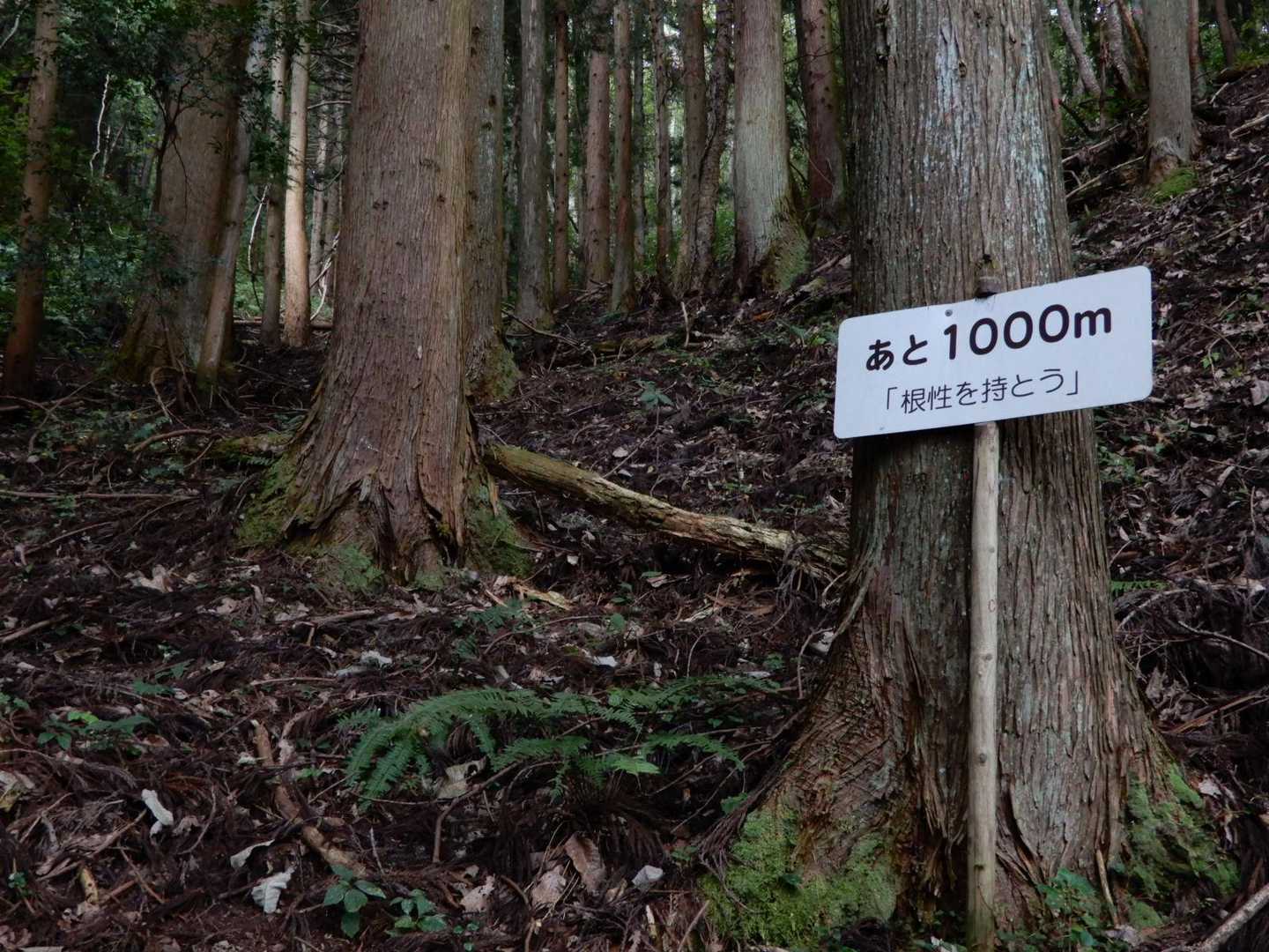 根性を持とう 👊