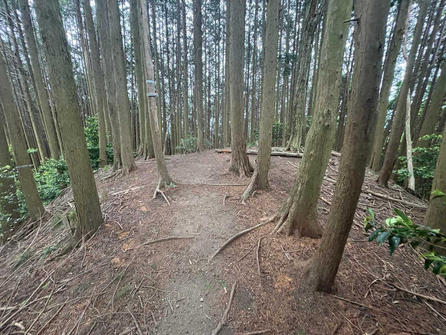 笛吹山 往復コースの写真