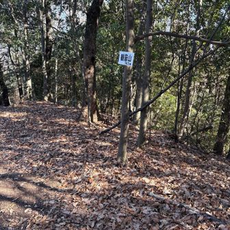 ９座目「観音山」:182m。