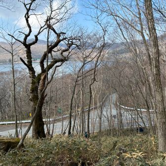 黒檜山登山口まで無事下山😊後は公道を歩き駐車場に戻ります