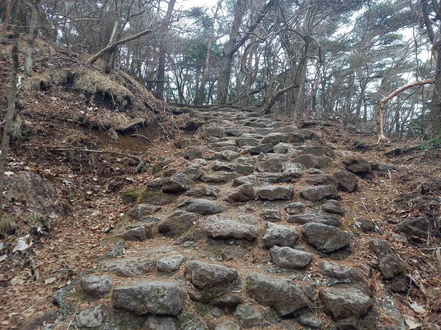 この不規則に並んだ石段も変化があって良き😀