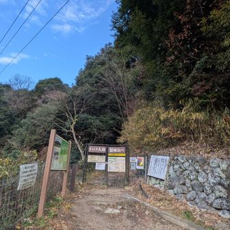 早朝もあり見かけたのは二組くらい