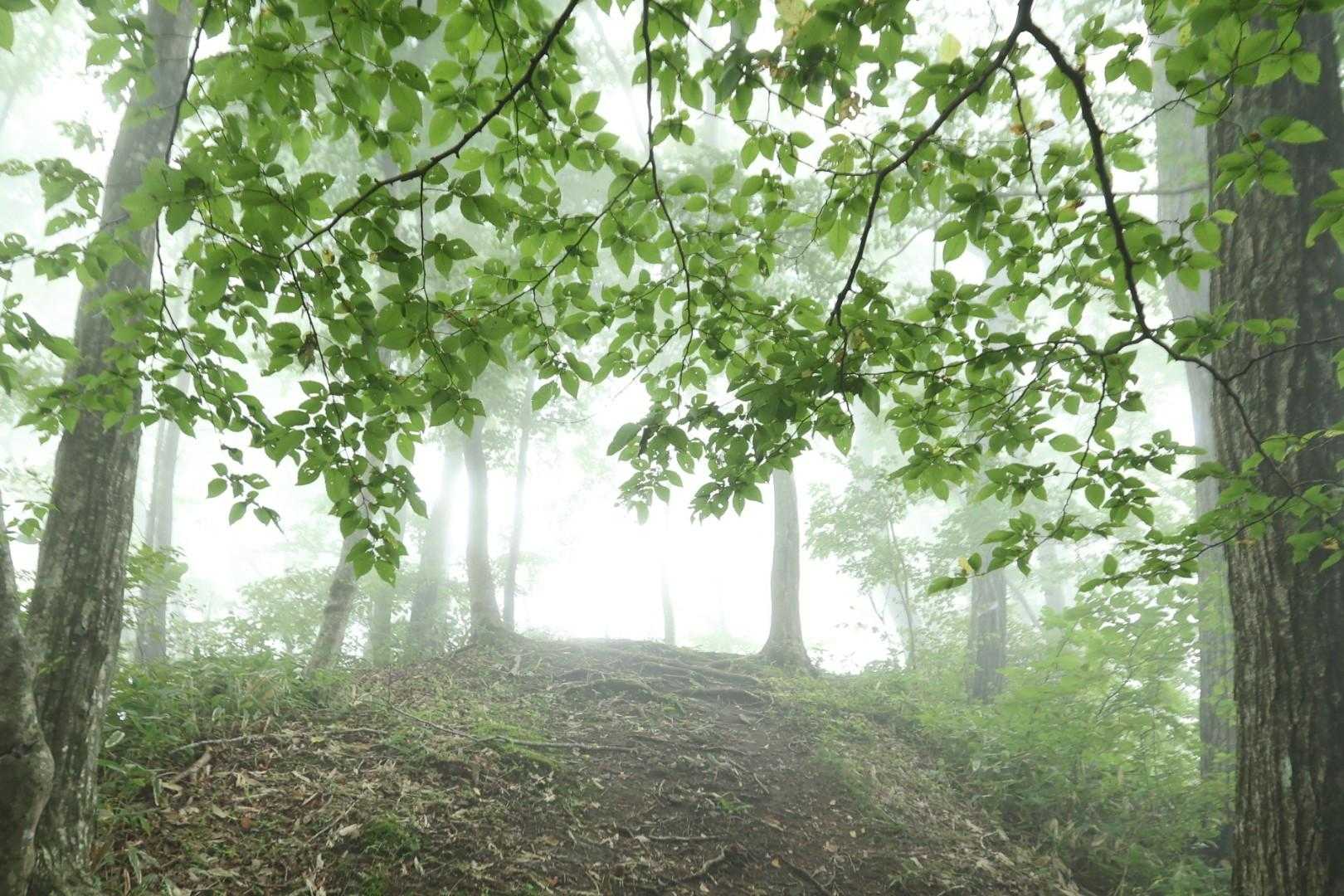この後、
🐻熊の気配を感じ撮影は中止😢
急いで下山となりました😆

ただ、今日は素敵なシーンで📸撮影出来て幸せでした✨✨😊