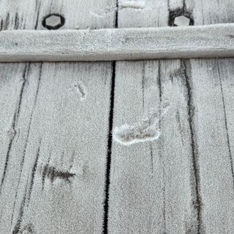 霜がすごい❄️
寒さが伝わります🥶❄️