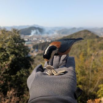 癒される😍
30分くらい過ごした