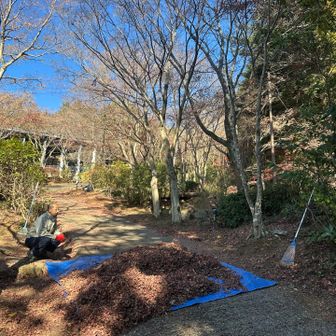 落葉🍂の片付け