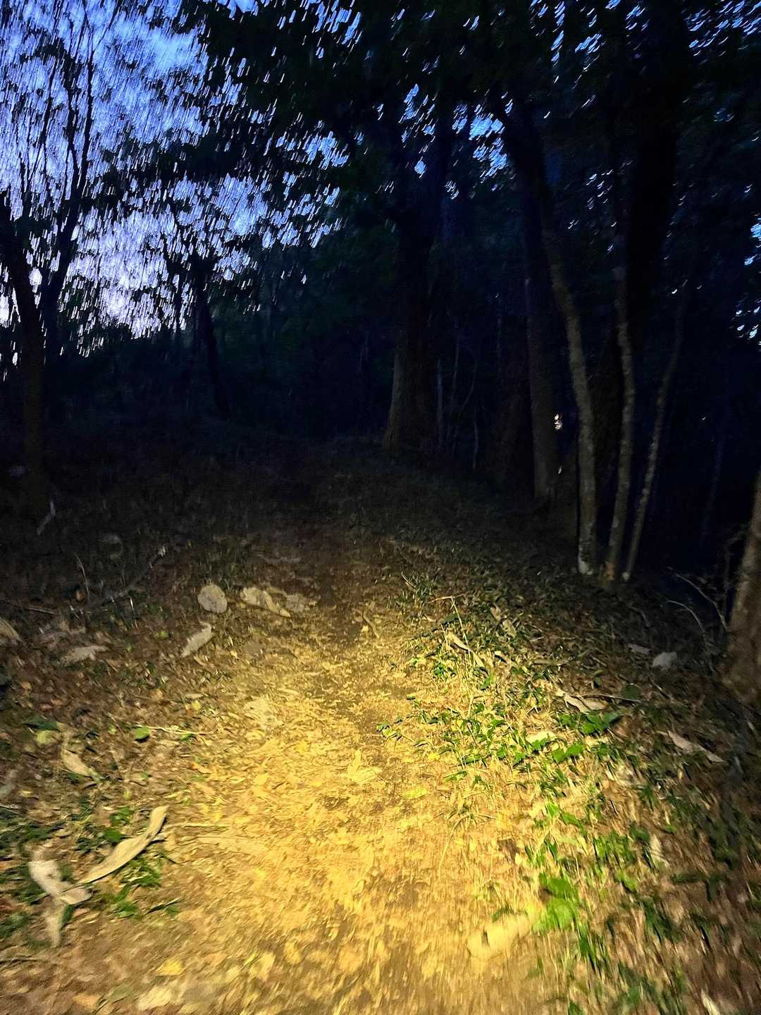 17:30にはもうヘッデン必須
浅間峠まで時間押してる💦