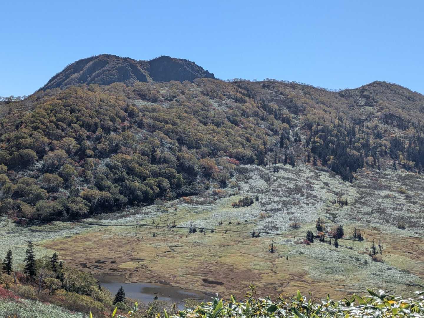朝歩いてきた道は
こんな素敵な道だったのね🥰