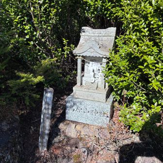 中岳。山頂標識を見つけられなかったが、山頂マークの場所に祠あり。