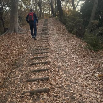 落ち葉がカサカサと乾いてて滑りそうです。