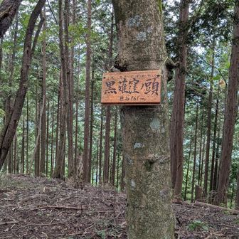 こっちが本物の黒薙窪ノ頭でした。まあ、小さなピークがたくさんあるし、間違えるよね