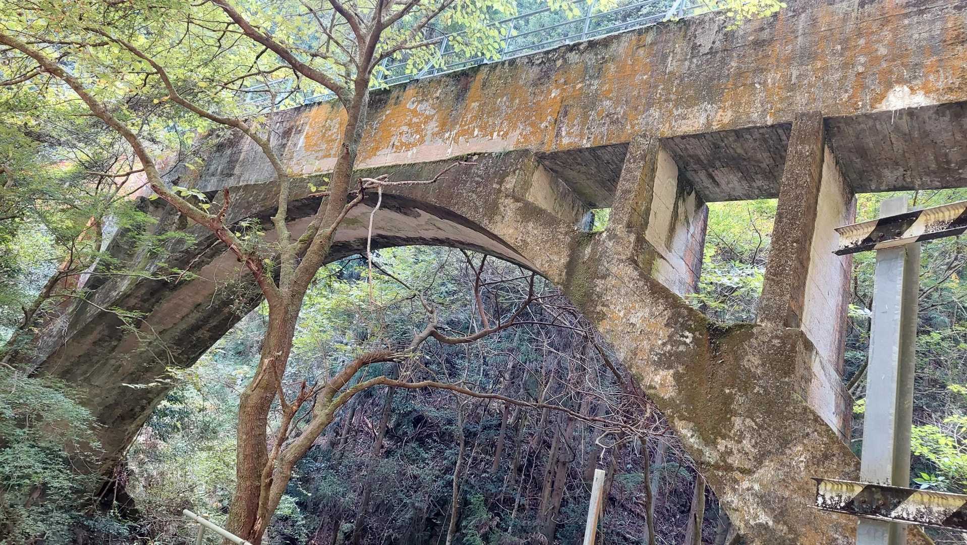 高束山 往復コースの写真