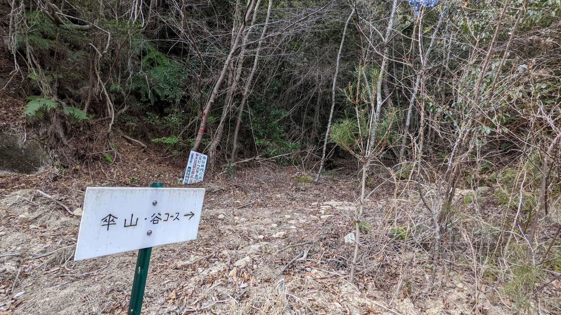 途中あった、谷ルートは、ここへ出てくるみたいです