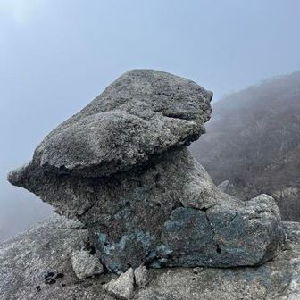 角度違いのきのこ岩🪨🍄