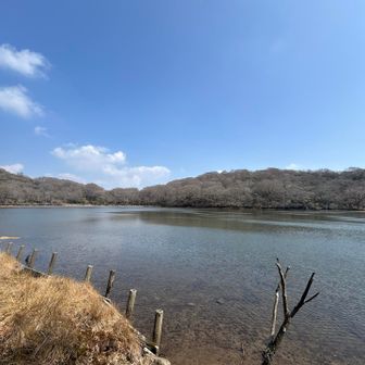 八丁池に降りてきた
鳥のさえずりが聞こえるいい河畔