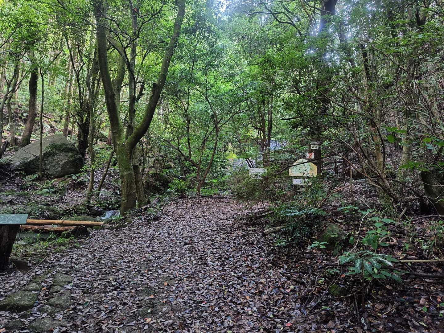 正現岳-金立山 周回コースの写真