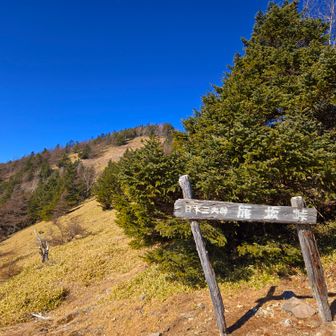 やっぱこっちの方が味わい深いな…