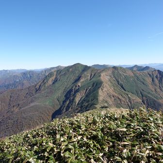 絶景見ながらコンビニお握りを食べているとさっき万太郎山下でスライドしたピストンの方と谷川岳でご来光後に別れた駒ケ根の方と再会となりました

ピストンの方の情報では「この先の仙ノ倉山以降は木道等で快適道なので2：20のバスには十分間に合いますよ」とアドバイスを受けました