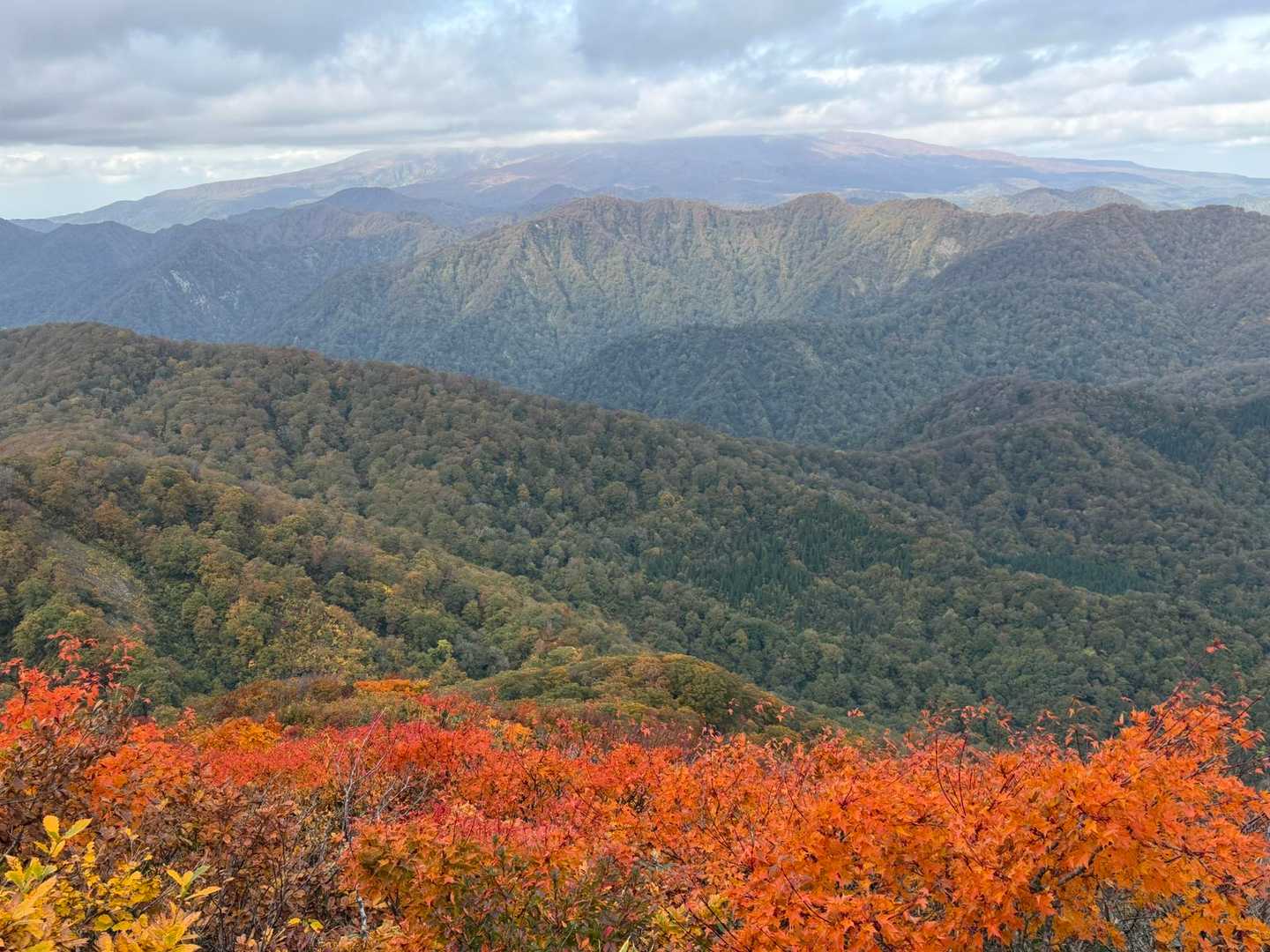 紅葉と鳥海山、のはずだったが鳥海山の勇姿は心の目で…
こちらからだと鳥海山の山容が富士山の形に近くなると評判