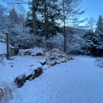 さて、ここから林道歩き💪