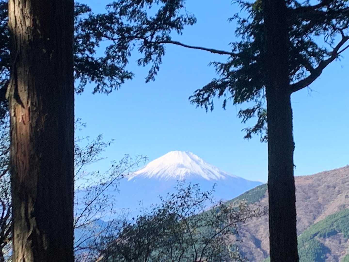 16丁目の富士山🗻チェックポイント
美しい😍
雲ひとつありません✨

その前に、さくらやさん前で会ったうまなみさんに、16丁目よりもっと手前でスライドしました😃
どれだけ速いのか、友人はまたまたびっくりしていました🫢
私達、下社でもみじ汁頂いたり、確かにのんびりはしていましたけど、、、😅

それに、丹沢スーパースター歩荷さんにも
牡丹岩手前で再び会えて「あれっ？」って
私達、下社でもみじ汁だけでなく🍙も食べてくつろいでいました、、、はい😅